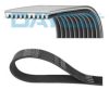 DAYCO 10PK1850HD V-Ribbed Belts